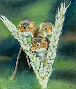 Ear, Ear, Move over.